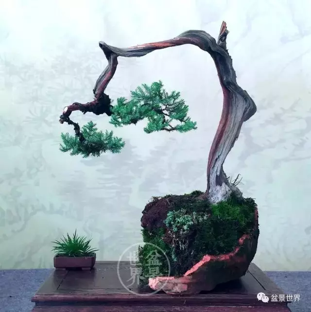 殘缺,有時比圓滿更令人震撼
