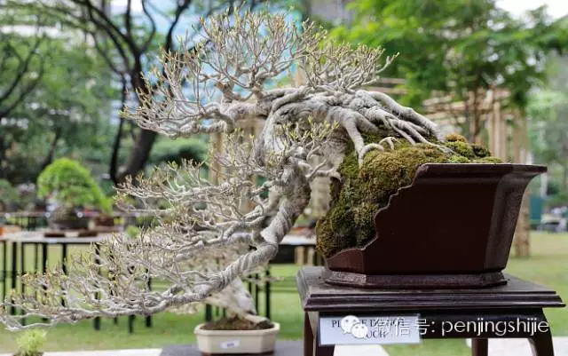 殘缺,有時比圓滿更令人震撼
