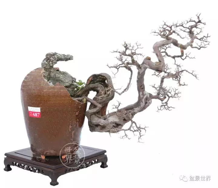 殘缺,有時比圓滿更令人震撼