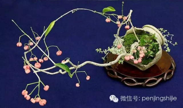 殘缺,有時比圓滿更令人震撼