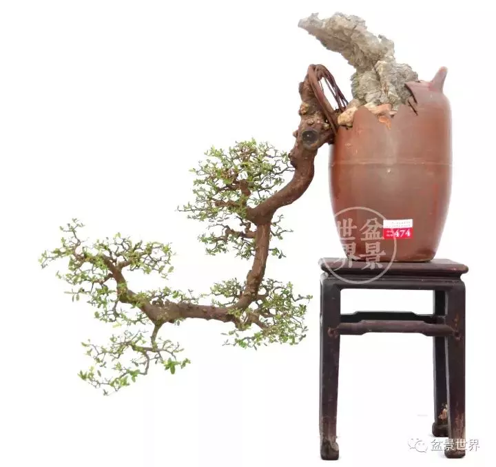 殘缺,有時比圓滿更令人震撼