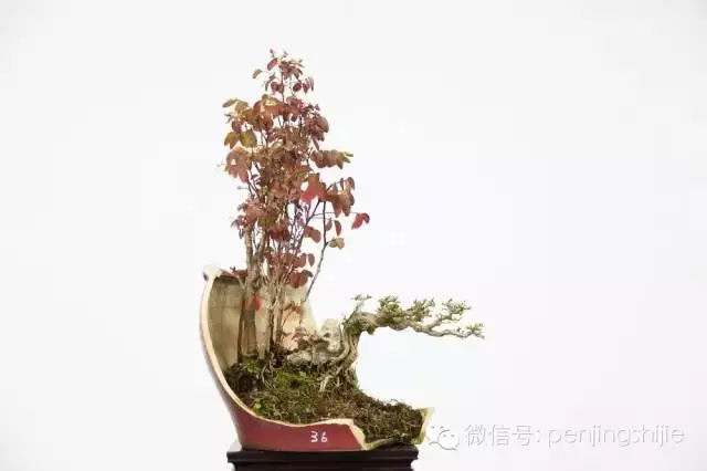 殘缺,有時比圓滿更令人震撼