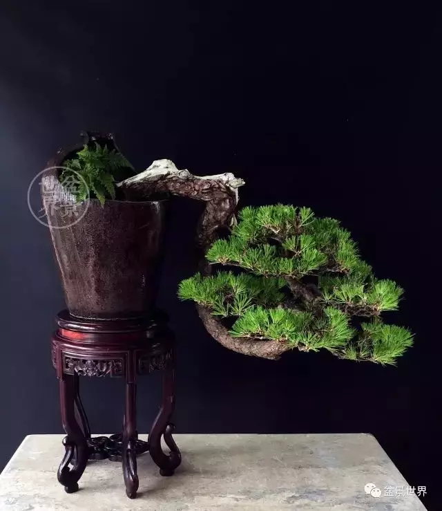殘缺,有時比圓滿更令人震撼