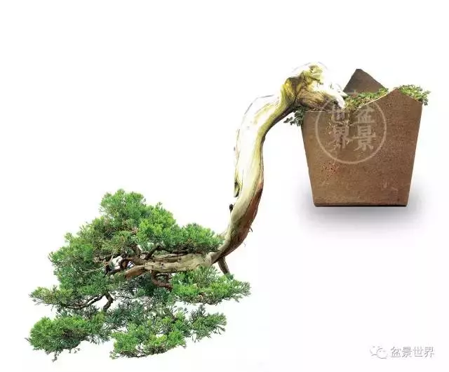 殘缺,有時比圓滿更令人震撼