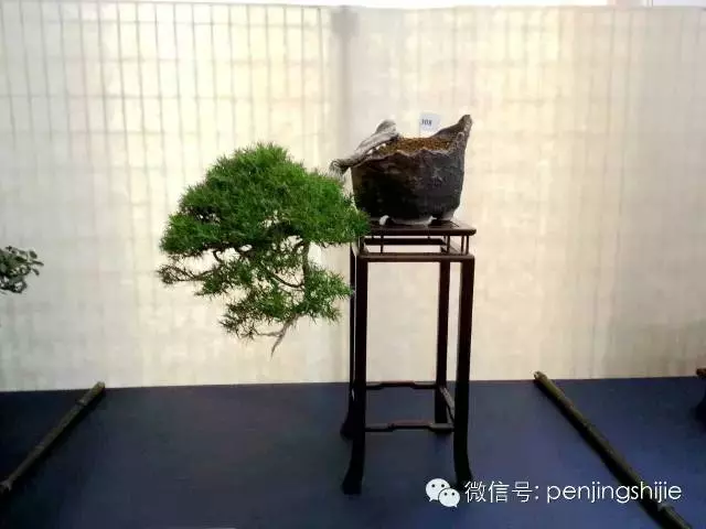 殘缺,有時比圓滿更令人震撼