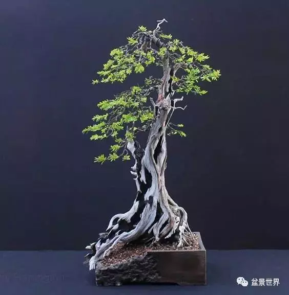 殘缺,有時比圓滿更令人震撼