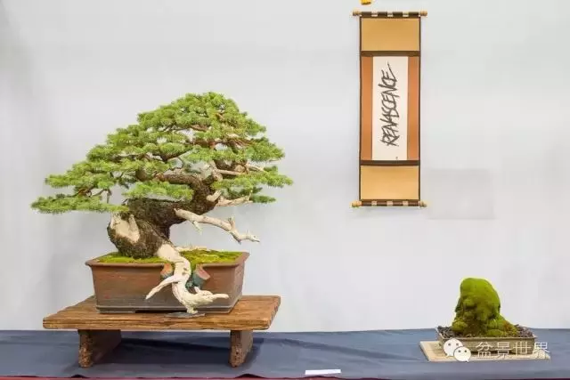 殘缺,有時比圓滿更令人震撼