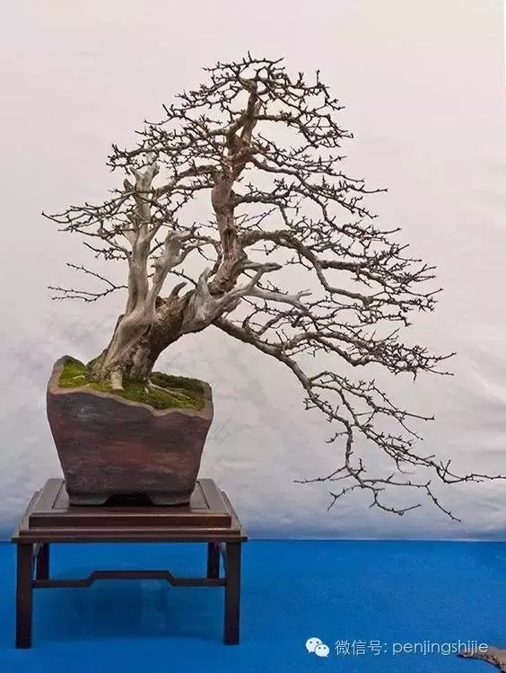 殘缺,有時比圓滿更令人震撼