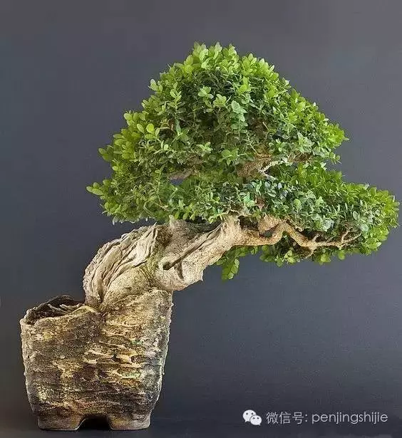 殘缺,有時比圓滿更令人震撼