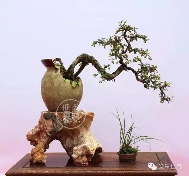 殘缺,有時比圓滿更令人震撼