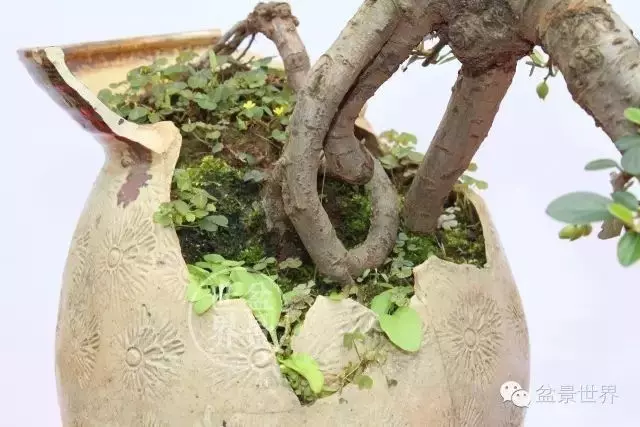 殘缺,有時比圓滿更令人震撼