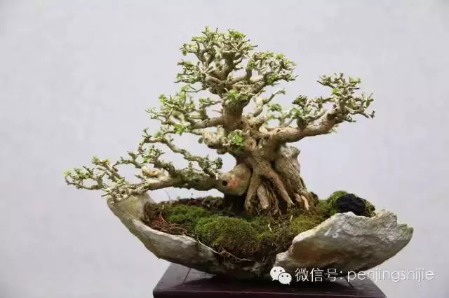 殘缺,有時比圓滿更令人震撼