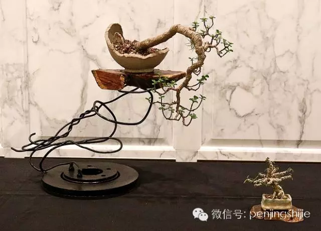 殘缺,有時比圓滿更令人震撼
