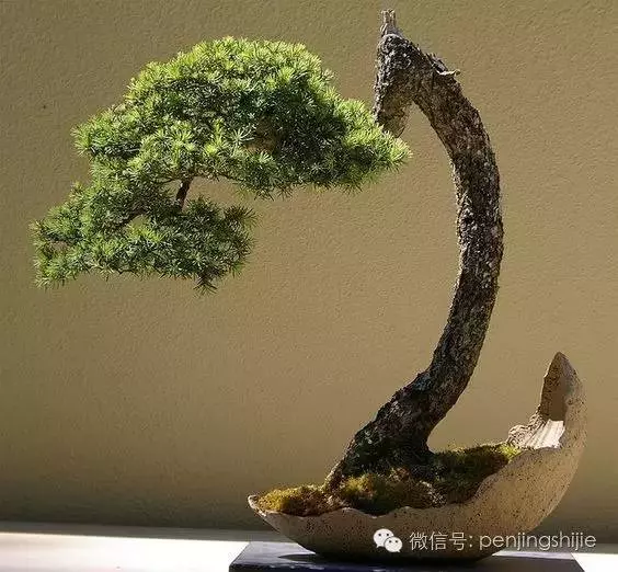 殘缺,有時比圓滿更令人震撼