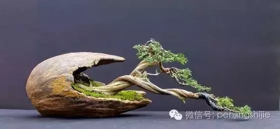 殘缺,有時比圓滿更令人震撼