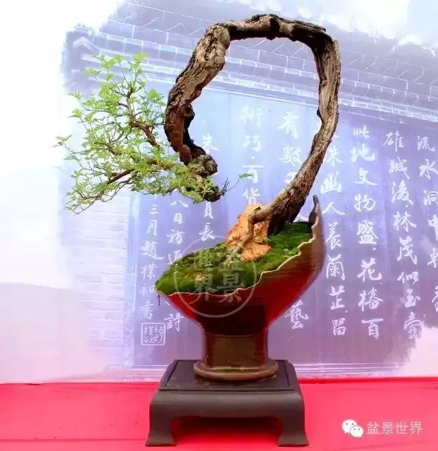 殘缺,有時比圓滿更令人震撼