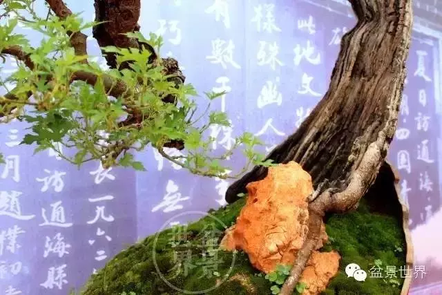 殘缺,有時比圓滿更令人震撼