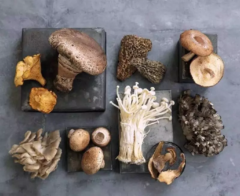 洗菜時加點它,髒東西、菜蟲自己跑出來!以前都白洗了!快學習吧!