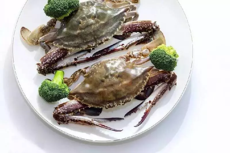 洗菜時加點它,髒東西、菜蟲自己跑出來!以前都白洗了!快學習吧!