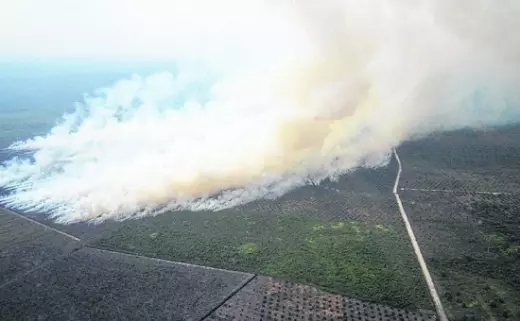 煙霾又來啦!大馬3州屬又中招?!
