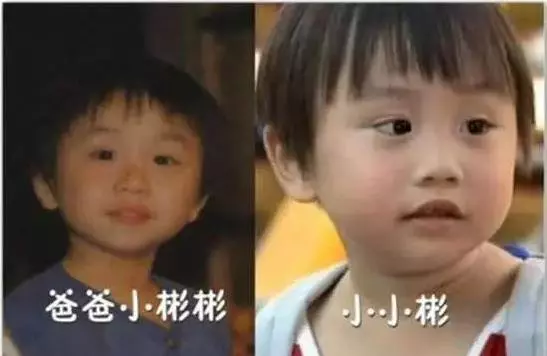 14歲小小彬被爸爸當搖錢樹來還房貸養全家!如今近照曝光,手腳潰爛令人心疼!