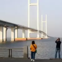 被侯友宜感謝... 賴清德讚蘇貞昌政績才是關鍵