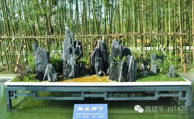 盆上美景,神奇的點睛之筆!