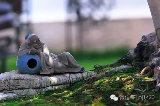 盆上美景,神奇的點睛之筆!