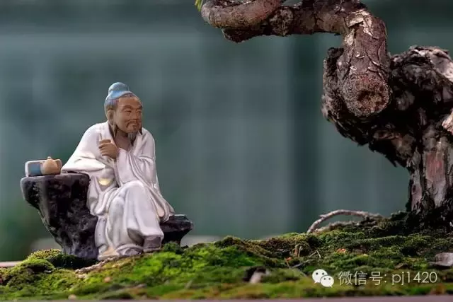 盆上美景,神奇的點睛之筆!