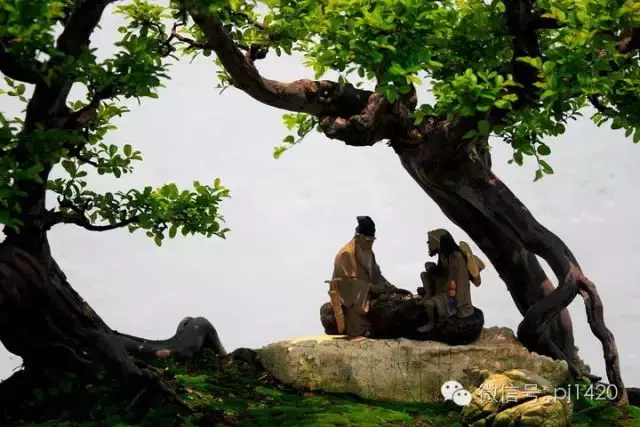 盆上美景,神奇的點睛之筆!