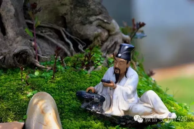 盆上美景,神奇的點睛之筆!