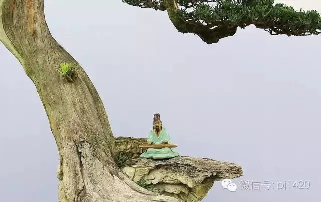 盆上美景,神奇的點睛之筆!