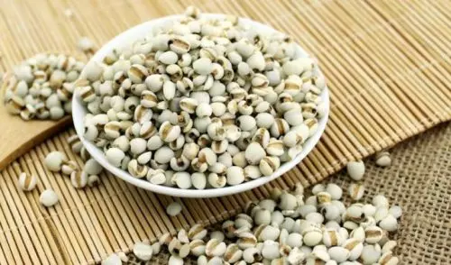 【准爸媽看過來!】最完整の『孕婦不能吃的食物』紀錄大全!傷身的水果竟然有這麼多…