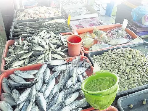 一條甘望魚賣5仙 民眾排隊數小時買魚