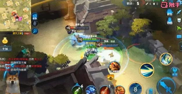 還在禁典韋?這個英雄邊境突圍1V6佛系吃雞,決賽圈屬她最皮