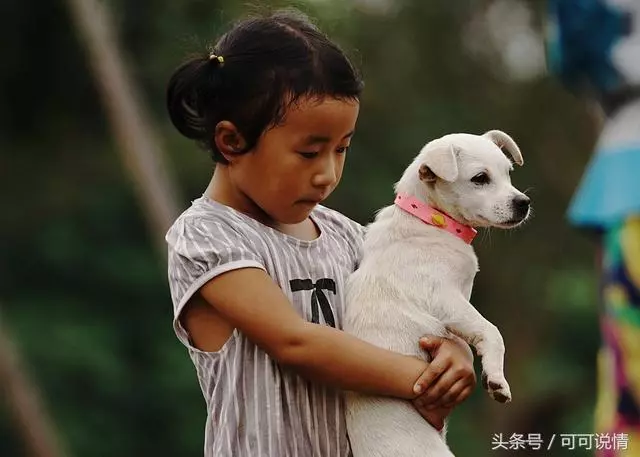 哥哥喜得一子,弟弟看到孩子後,果斷報警並舉家逃離!