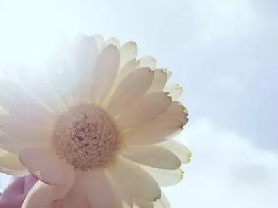 出了這種事,我就想要公婆一個道歉,過分嗎?