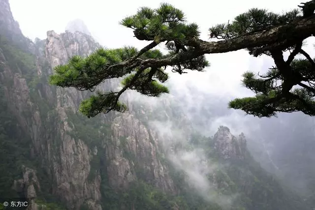 我負擔爸媽生活費,現在我們瀕臨破產她卻看上了老公的房子