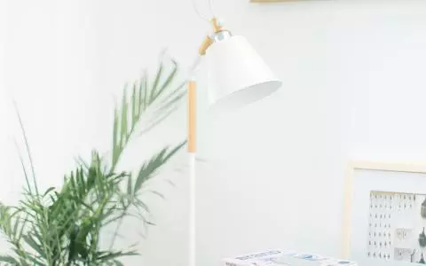 你哥跟你侄女有手有腳,為什麼要你來養?再不分家,我們就離婚