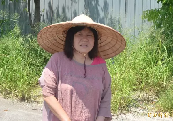 被蔣月惠質疑收潘孟安好處 王世堅:我慈悲不 會告