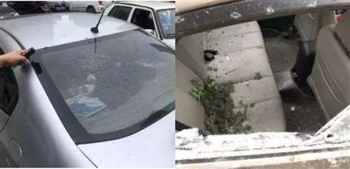 麵店蒸饅頭大爆炸!老闆炸到臟器外露