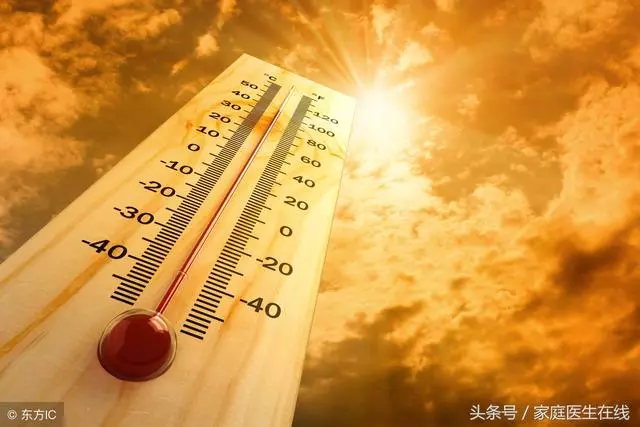 冰飲喝太多易傷身,夏季要消暑,不妨試試這5款花茶
