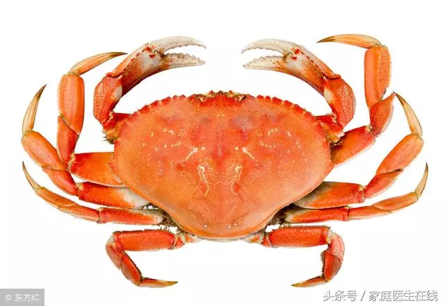 螃蟹除了美味,原來有這麼多功效,厲害了!