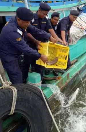 越南漁船疑越界捕魚 近100萬漁獲漁船充公