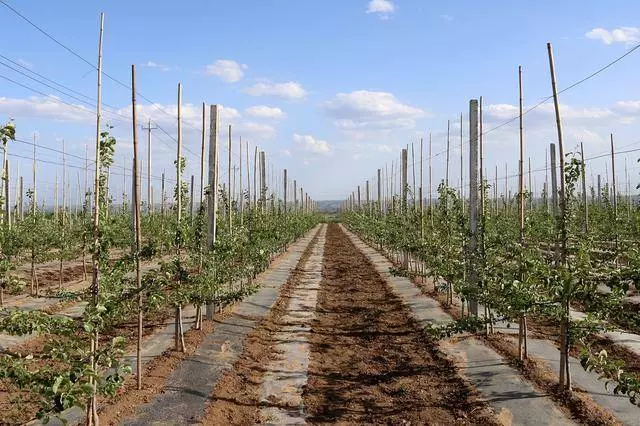 父親去世母親拿錢跑路,哥哥養活我長大,多年後我們過的很幸福