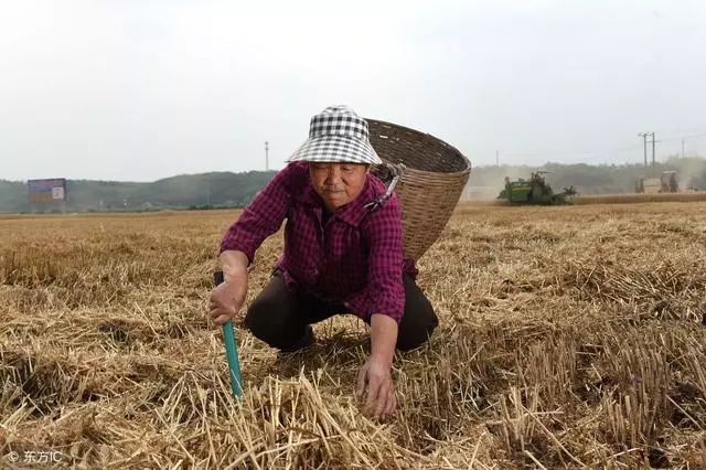 父親去世母親出走,兄弟倆吃百家飯長大,有錢後挨家挨戶道謝