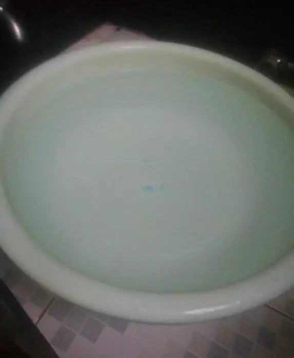 男子去外地出差,將一隻泰迪放在家裡,獨自生活了半個月