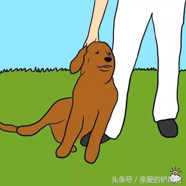 當狗狗出現這些行為時不要懊惱,這都是它們愛你的表現