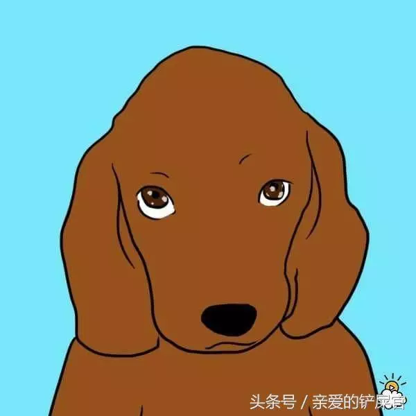 當狗狗出現這些行為時不要懊惱,這都是它們愛你的表現