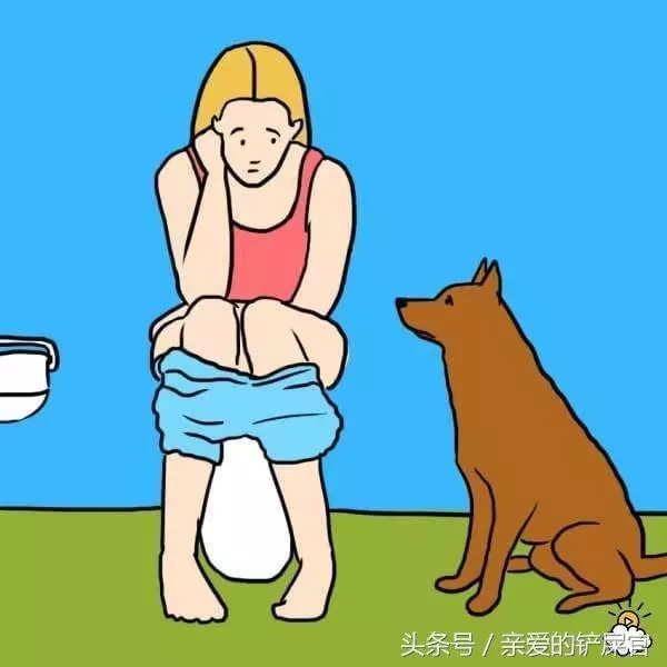 當狗狗出現這些行為時不要懊惱,這都是它們愛你的表現